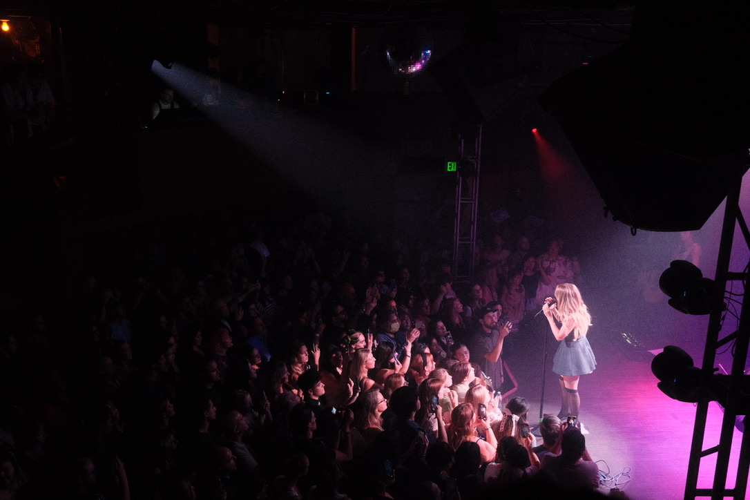 Singer performing to a crowd