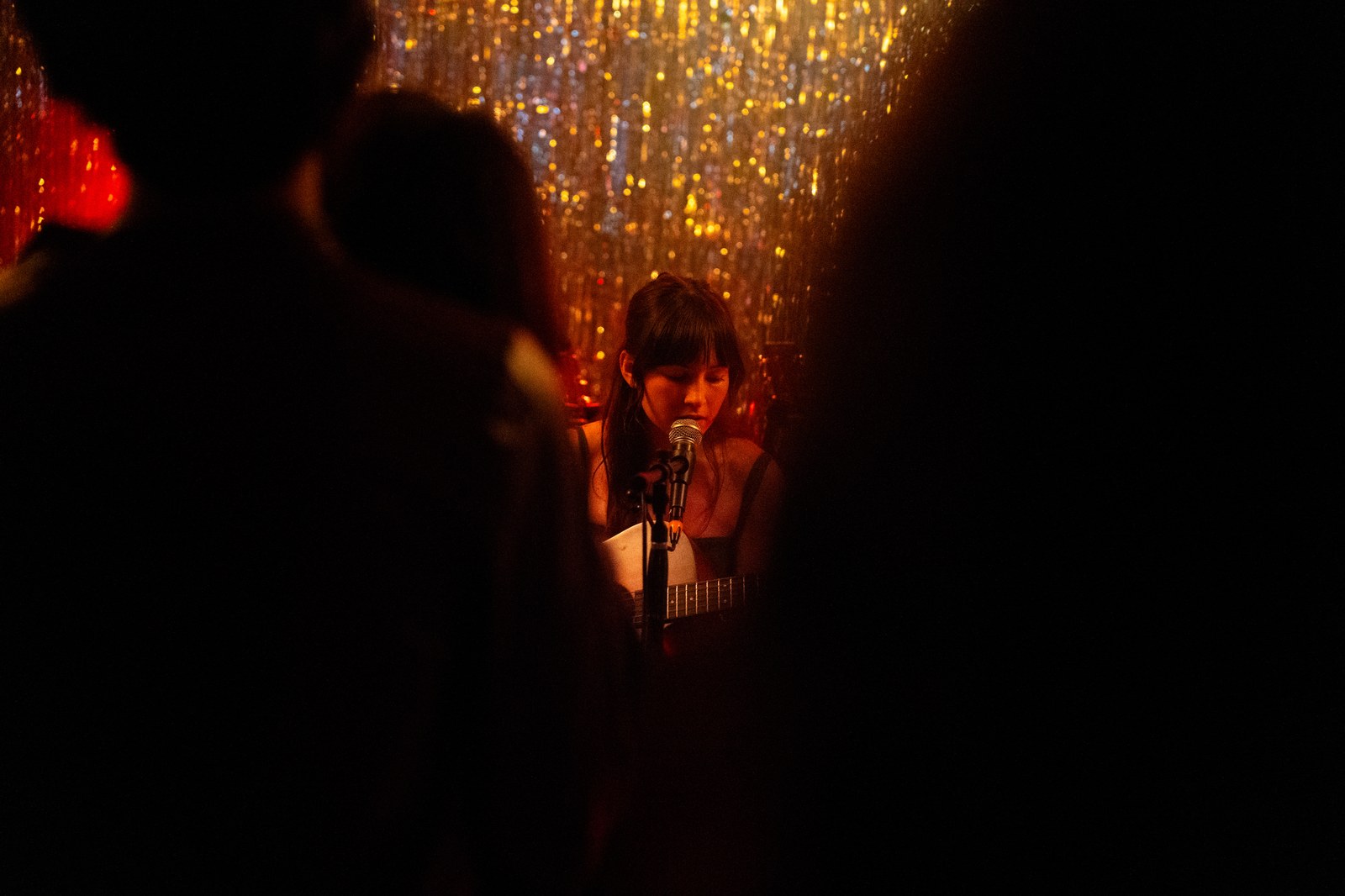 Singer at the microphone with a guitar under string lights