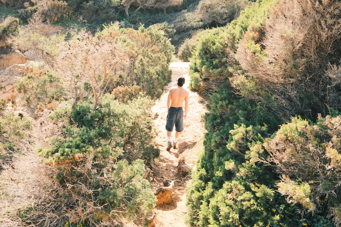Path through coastal brush